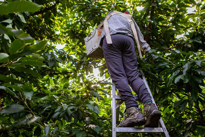 Low angle view of man against trees