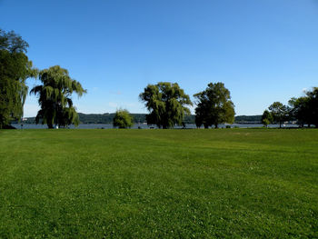 Scenic view of grassy field against blue sky