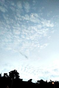 Low angle view of silhouette trees against sky