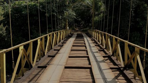 Footbridge amidst trees in forest