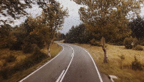 Empty road along trees on a rainy day 