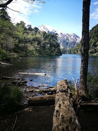 Scenic view of lake in forest against sky