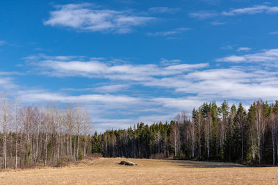 Road amidst trees on field against sky