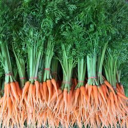 Panoramic view of vegetables for sale at market stall