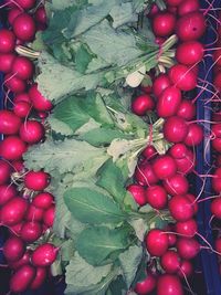 High angle view of cherries
