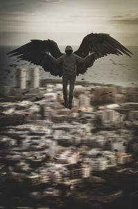 Full length of a bird flying