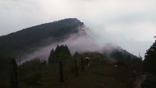 Man standing on mountain in forest against sky