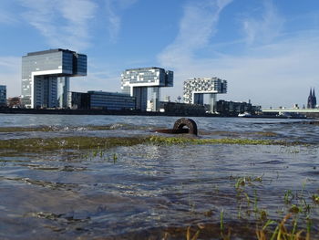 Sea by buildings against sky in city