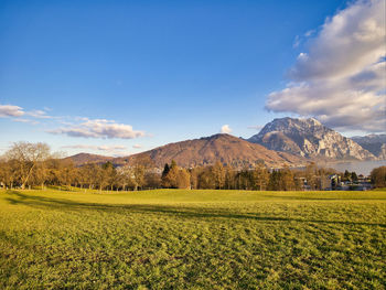 Scenic view of field against sky