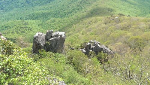 Scenic view of landscape with mountain range in background