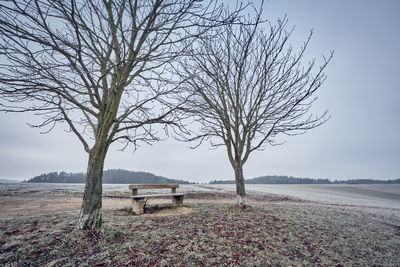 Bare tree on field against sky