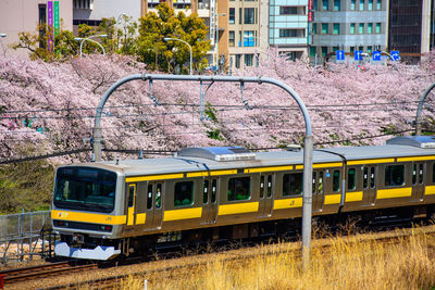 Train on railroad tracks in city