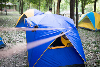 Camping tents in a forest