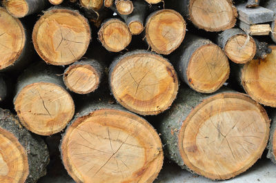 Wood cut into logs and stacked in a pile, waiting for winter