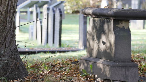 Low angle view of cemetery headstones in autumn.