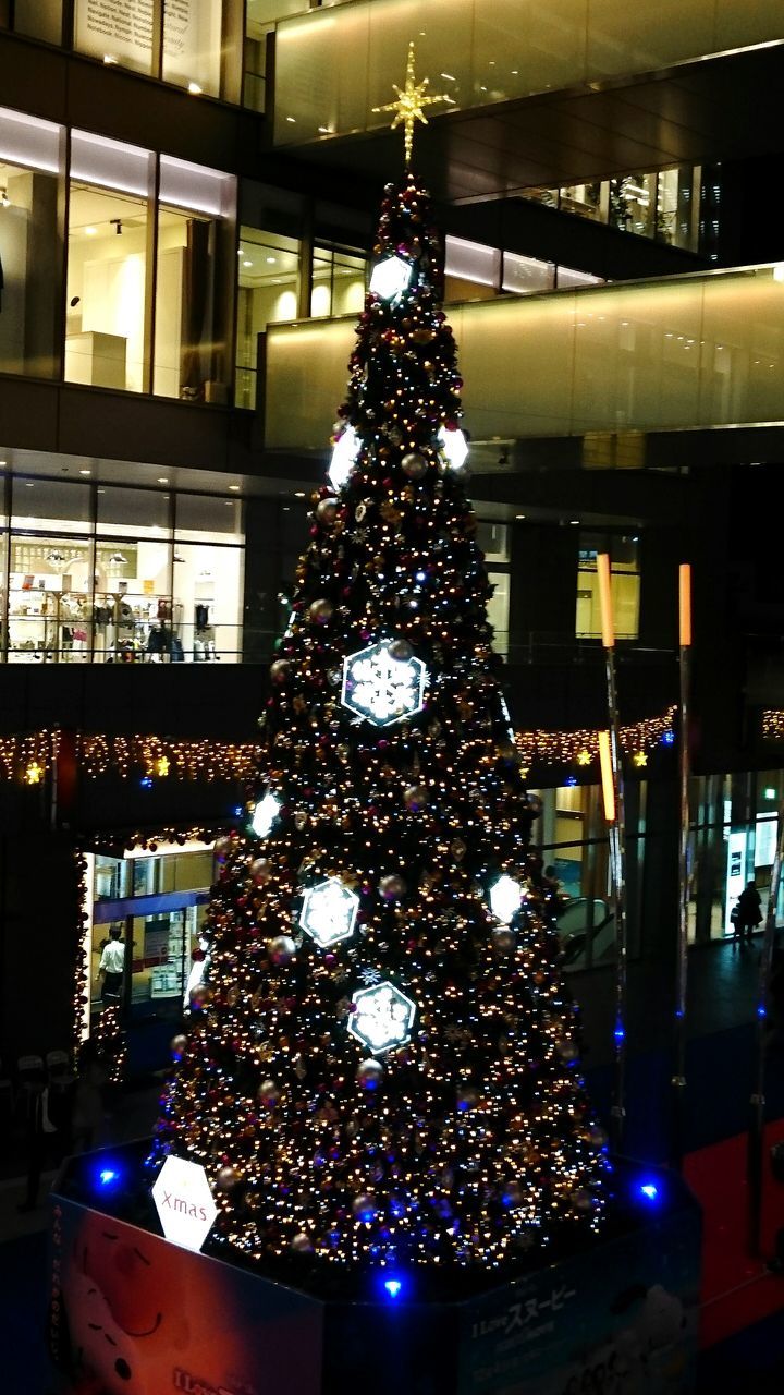 LOW ANGLE VIEW OF ILLUMINATED CHRISTMAS TREE AT NIGHT