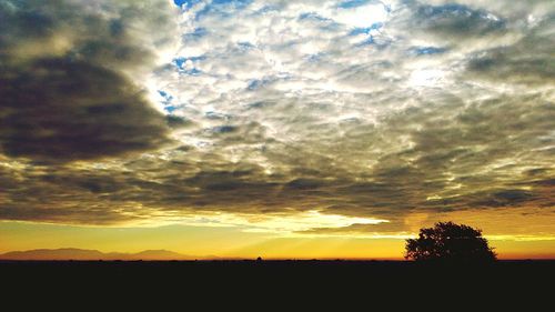 Silhouette trees against sky during sunset