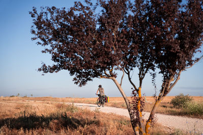Bikepacking on gravel