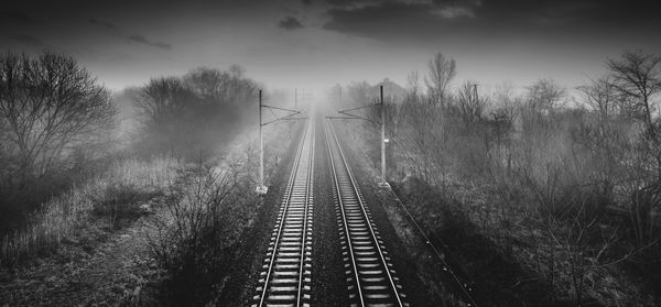 Black and white railway tracks in fog 