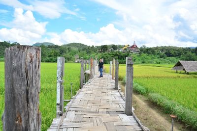 Rear view of wooden posts on footpath against sky