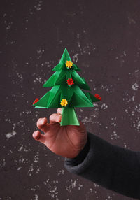 Close-up of man holding christmas tree