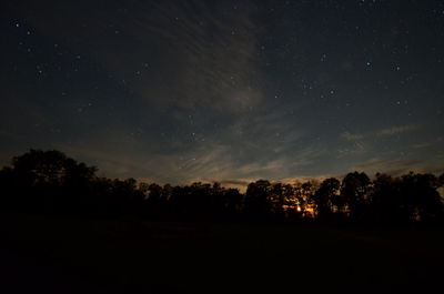 Trees on landscape at night