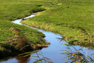 Scenic view of river