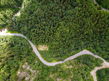 High angle view of agricultural field