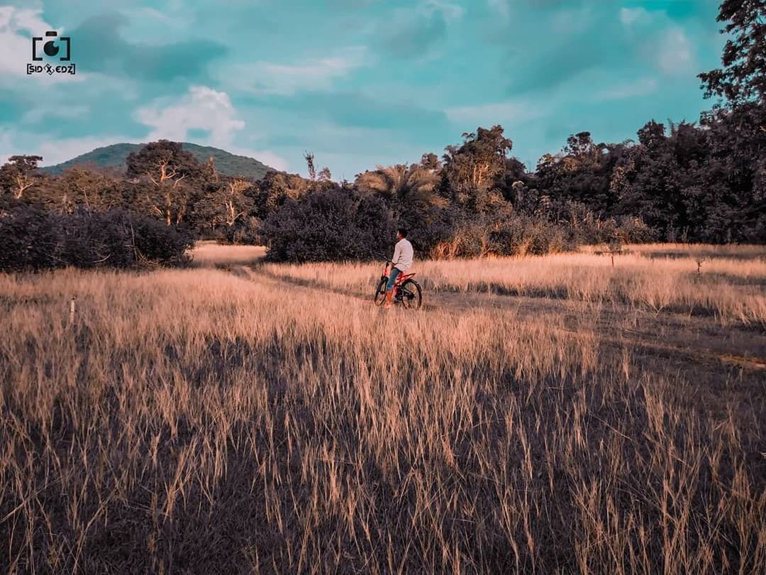 plant, sky, nature, landscape, land, one person, cloud, tree, environment, adult, transportation, field, prairie, morning, grass, rural area, sports, motion, leisure activity, rural scene, beauty in nature, scenics - nature, natural environment, outdoors, mode of transportation, wilderness, men, full length, bicycle, activity, lifestyles, horizon, mountain, riding, grassland, day