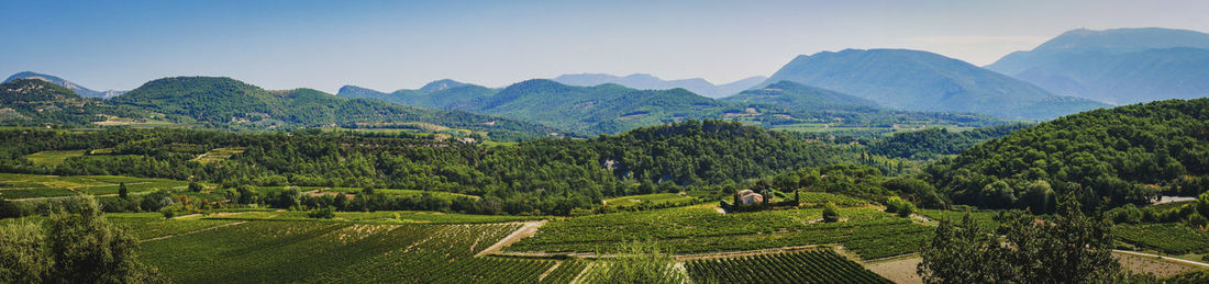 Scenic view of agricultural field against sky