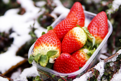 High angle view of strawberries in bowl