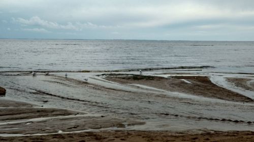 Scenic view of sea against sky