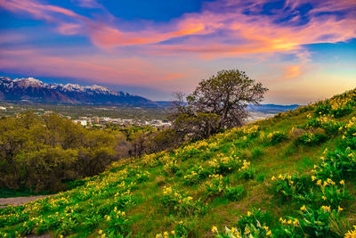 Scenic view of landscape against sky at sunset