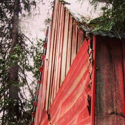 Low angle view of flag against trees