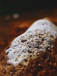 Close-up of lichen on rock