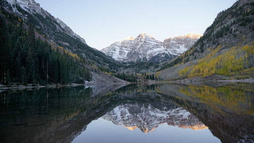 Reflection of trees in lake