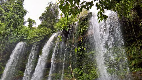 Low angle view of waterfall in forest