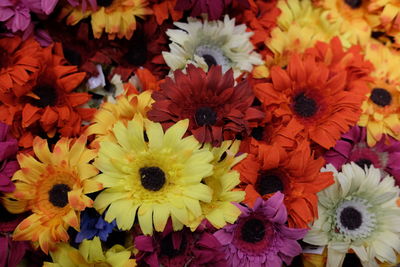 High angle view of various flowers