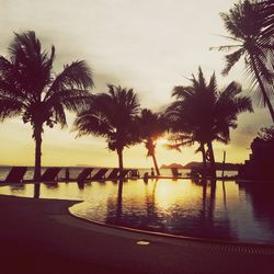 Silhouette of palm trees at sunset