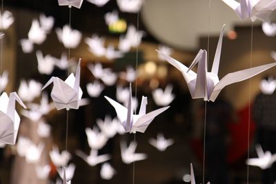 Close-up of paper flowers