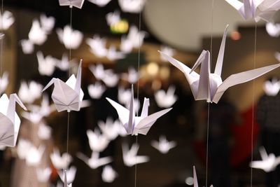 Close-up of paper cranes hanging on strings