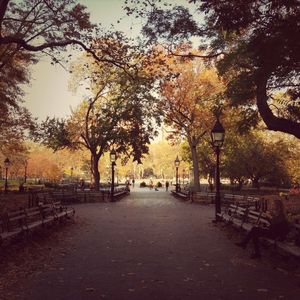 Empty road in park