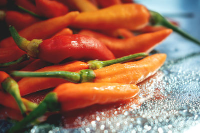 Close-up of chili peppers in plate