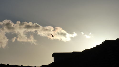 Low angle view of silhouette birds flying against sky