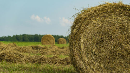 Hay bales on field against sky