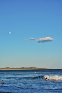 Bird flying over sea against blue sky