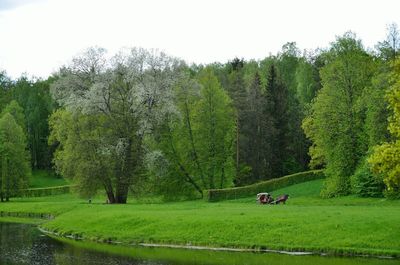 Scenic view of green landscape against clear sky