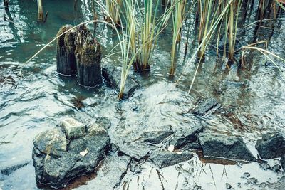 water
