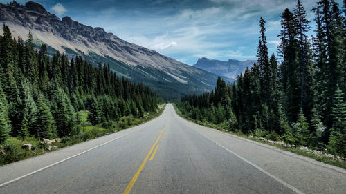 Road amidst trees against sky