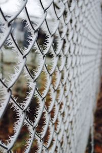 Full frame shot of leaves